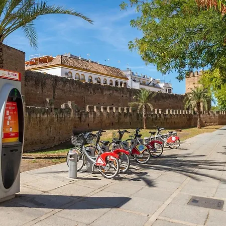 Apartment Moderno Con Wifi Gratis *
